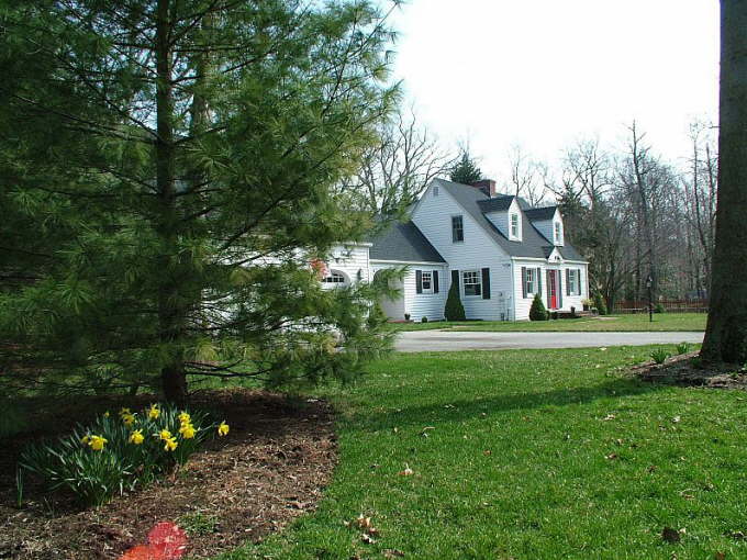 Front View