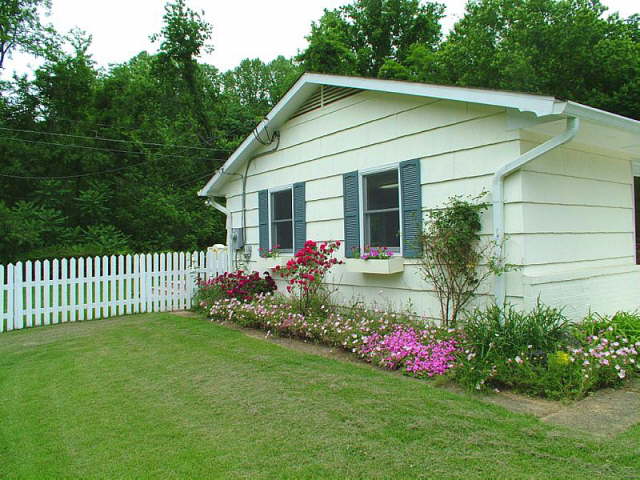 Side View